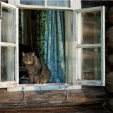 Jak izolovat dřevěná okna: rozpočtové metody a izolační technologie
